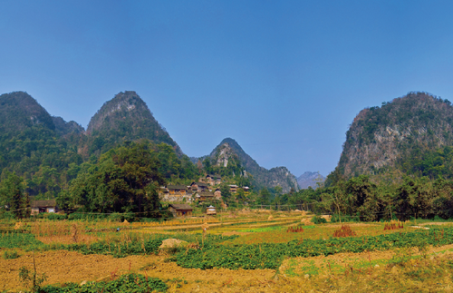1590053320(1).png