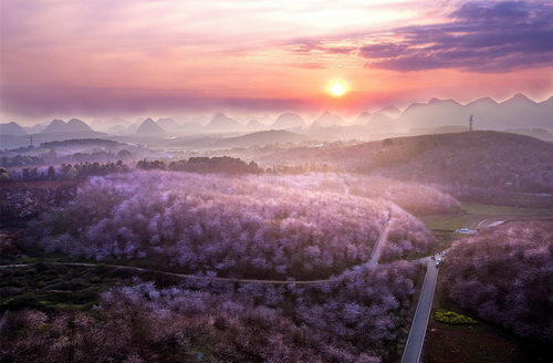 樱花园17.jpg