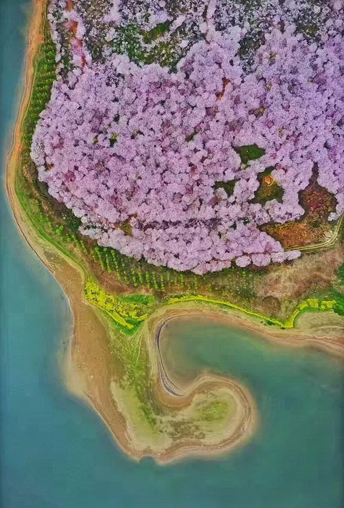 1590075883.jpg