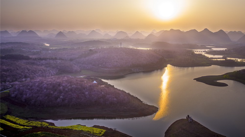 樱花园12.jpg