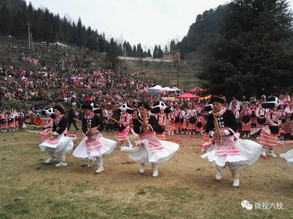 跳花坡２.jpg